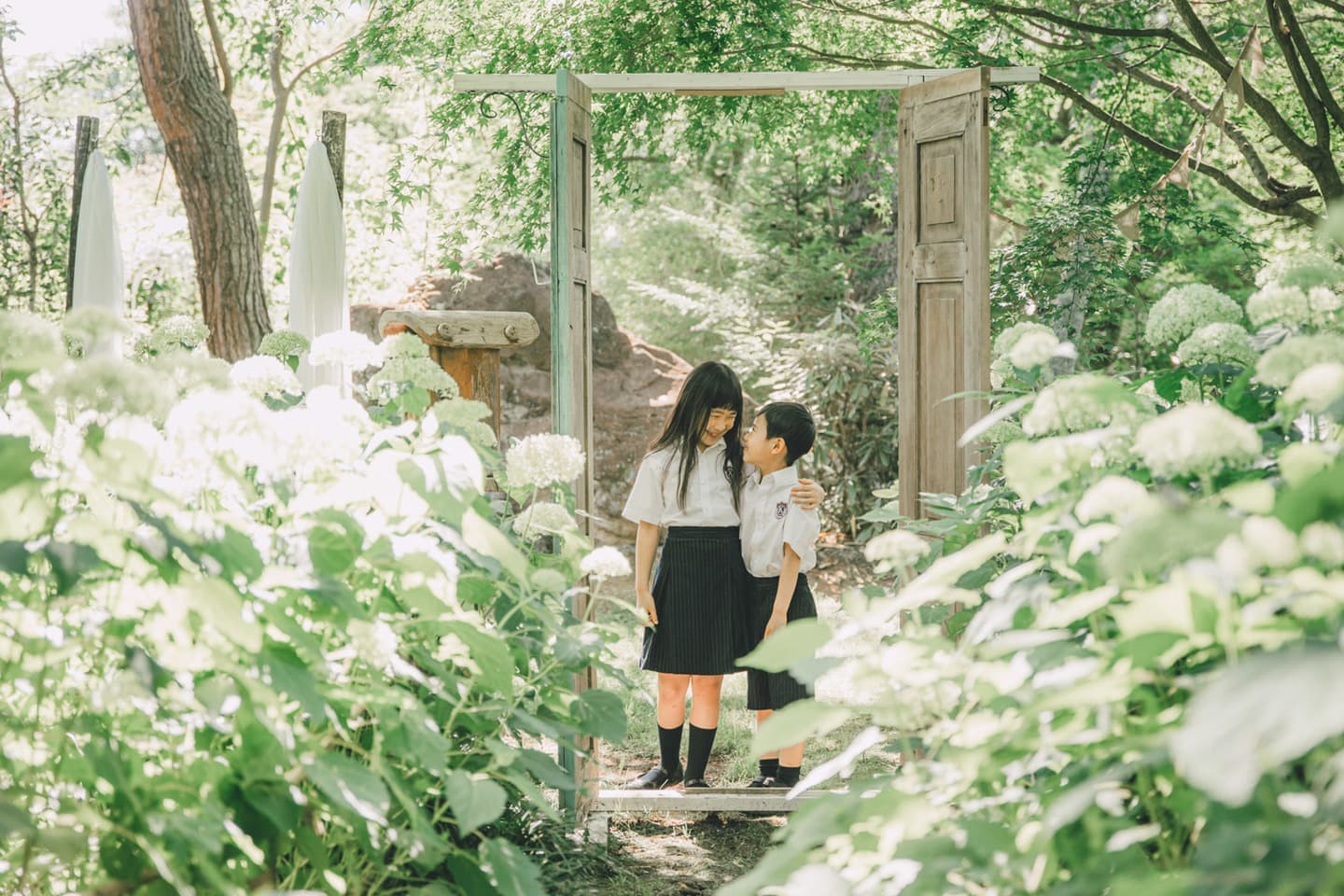 入学記念
