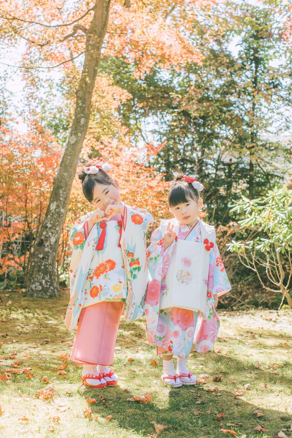 姉妹七五三撮影