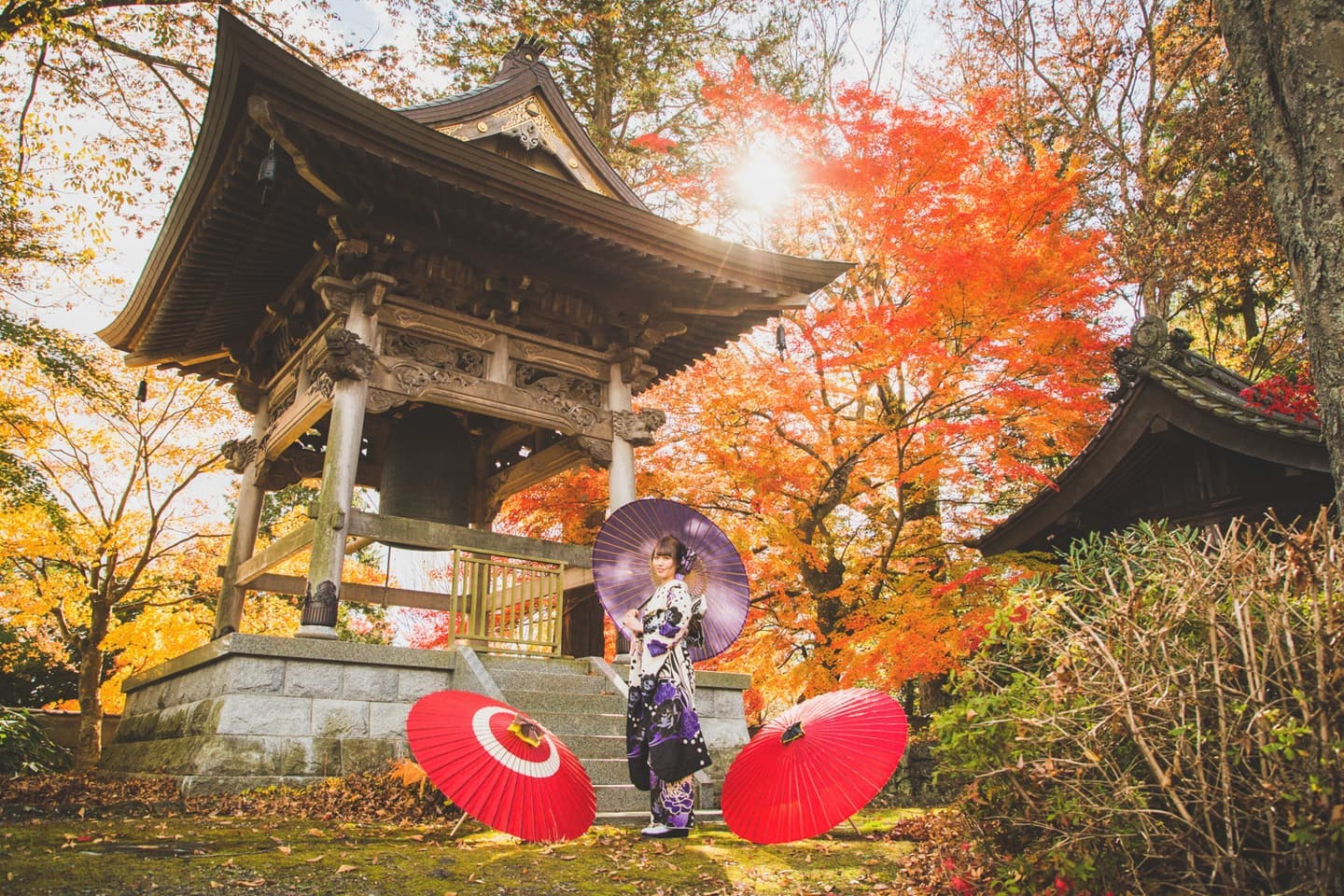 紅葉二十歳撮影