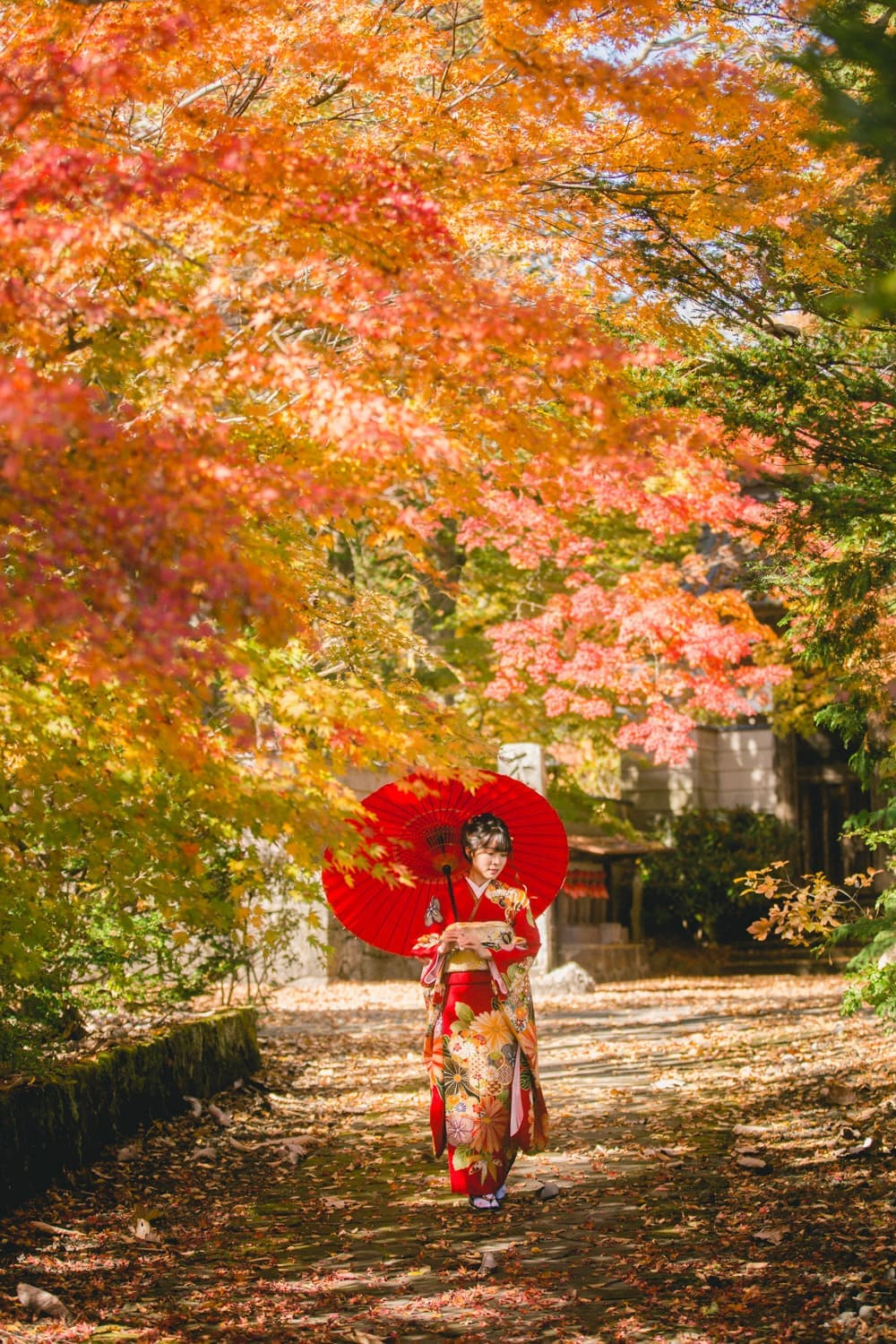 二十歳紅葉撮影
