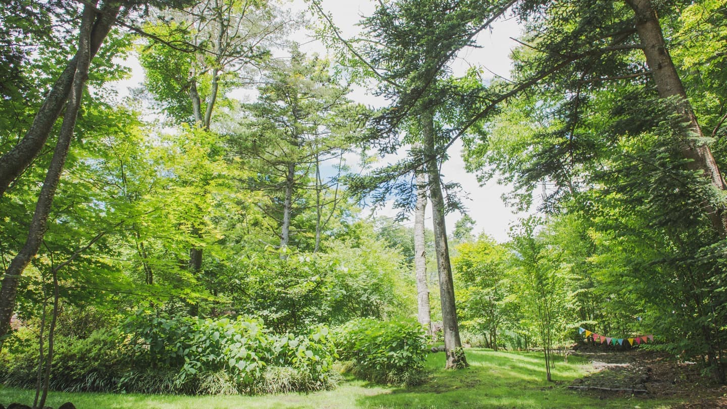 ガーデンがある写真スタジオ